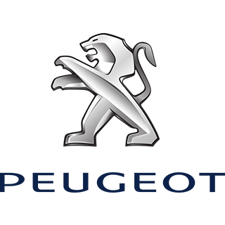 Peugeot 206 Ön Sol Amortisörü